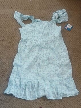 Arizona Jean Company Light Blue Floral Dress